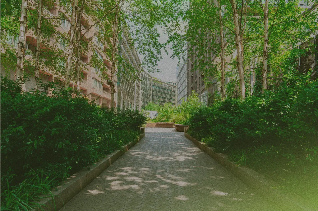 trees and bushes lining an apartment complex