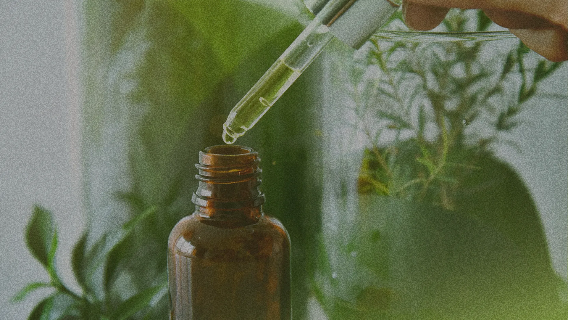 eye dropper and essential oil bottle
