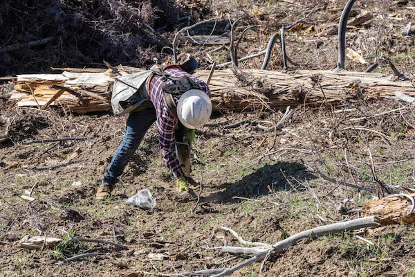 A person pickup up trash in the forest