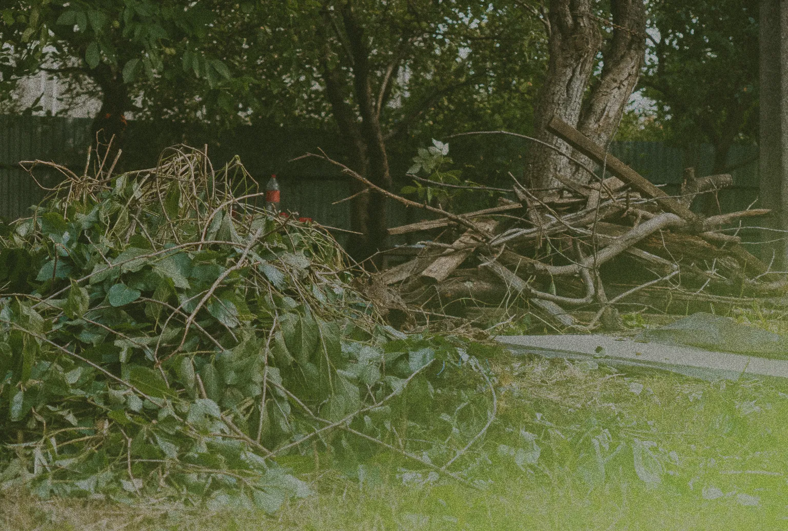 pile of branches in a yard