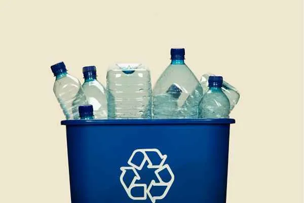 bottles in recycling bin
