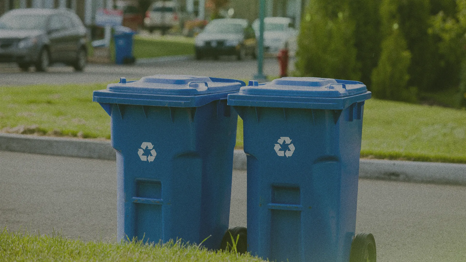 Two blue recycling bins with white recycling symbols stand on a grassy curbside in a suburban neighborhood.