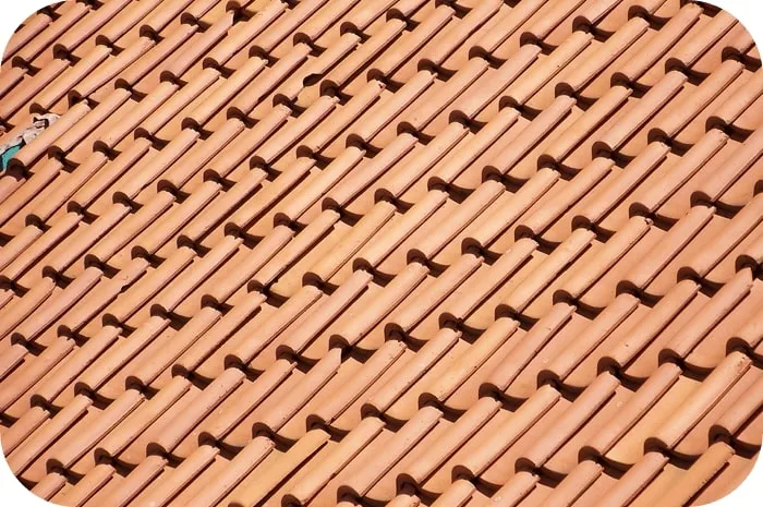 upclose image of shingles 