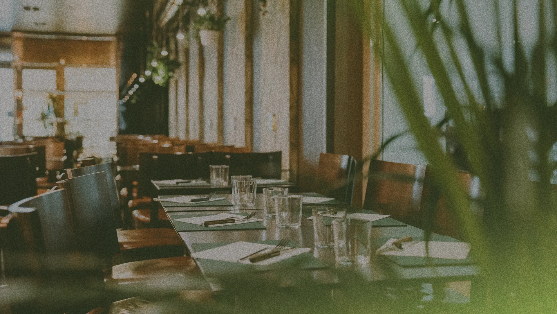 Cozy restaurant interior with neatly set tables, wooden chairs, and soft lighting, partially obscured by green plants in the foreground.