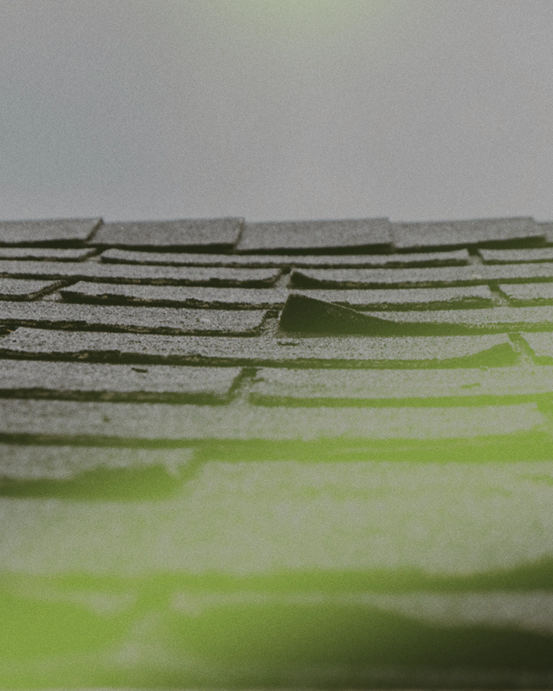 roof shingles