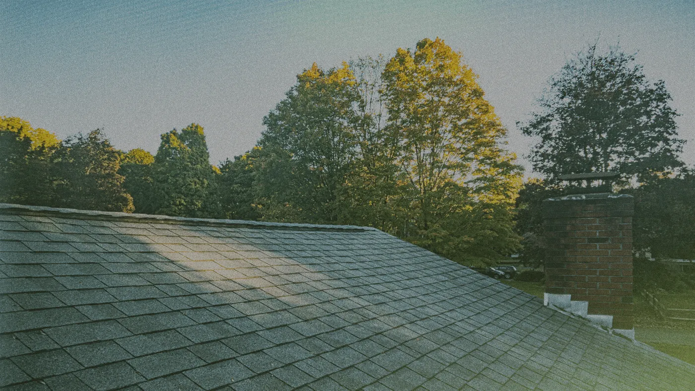 A rooftop with gray shingles and a brick chimney, surrounded by tall trees under a clear blue sky at sunset.