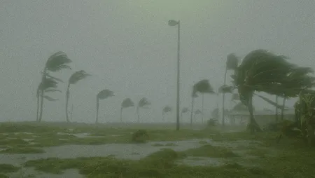 Windswept palm trees bend during a storm, surrounded by blurred rain and a waterlogged grassy area, evoking a sense of intense weather conditions.