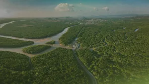 Aerial view of a lush green forest with winding rivers and a road cutting through, leading to a distant town under a partly cloudy sky.