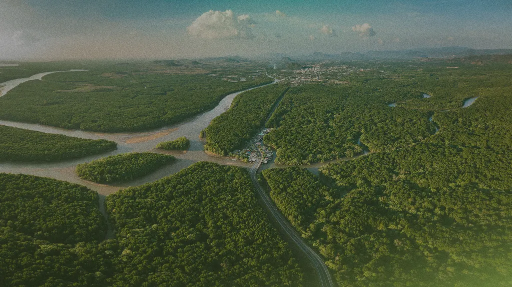 Aerial view of a lush green forest with winding rivers and a road cutting through, leading to a distant town under a partly cloudy sky.