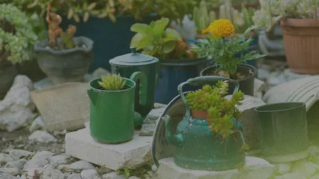 Assorted potted plants and succulents in colorful containers, including teapots, arranged on stones in a garden setting.