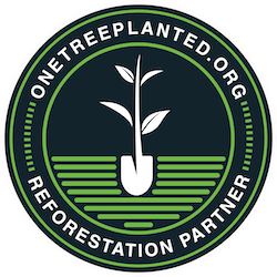 We plant a tree to achieve carbon neutrality